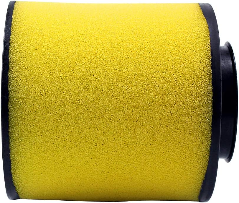 Air Filter - 17254-HM8-000: Honda Recon 250